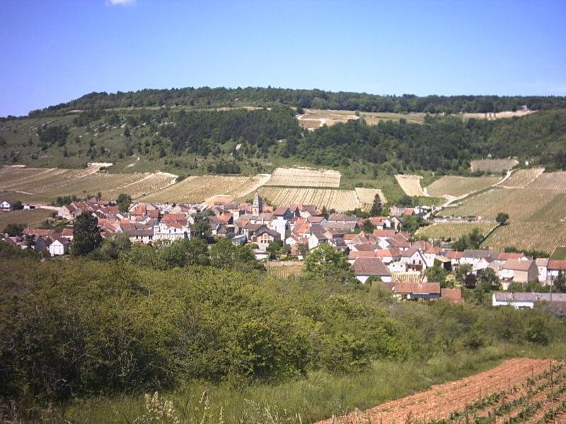 Le Lodge Du Parc Beaune  Extérieur photo